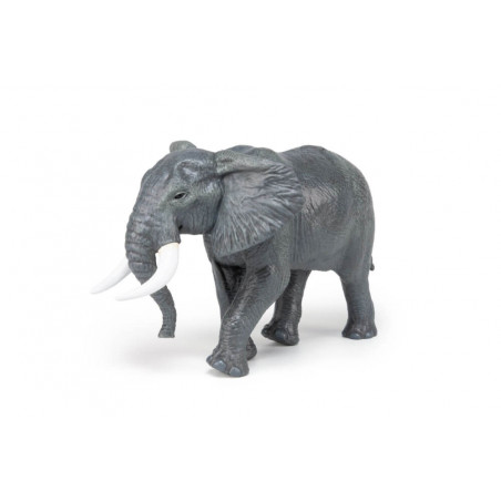 Grosser afrikanischer Elefant