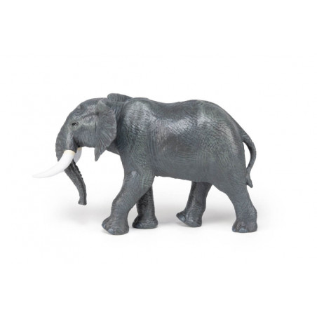 Grosser afrikanischer Elefant