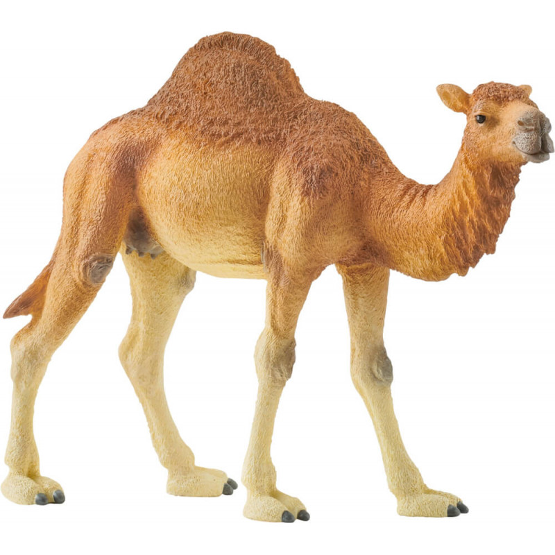 Schleich Wild Life 14832 Dromedar