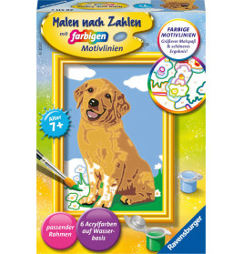 Malset nach Zahlen für Kinder ab 7 Jahren mit lächelndem braunen Hund und Zubehör.