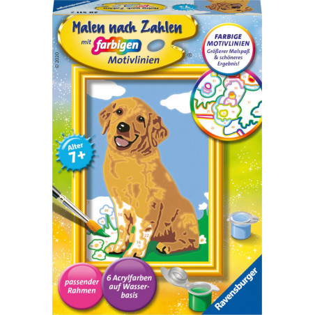 Ravensburger 28511 Malen nach Zahlen - Kleiner Golden Retriever