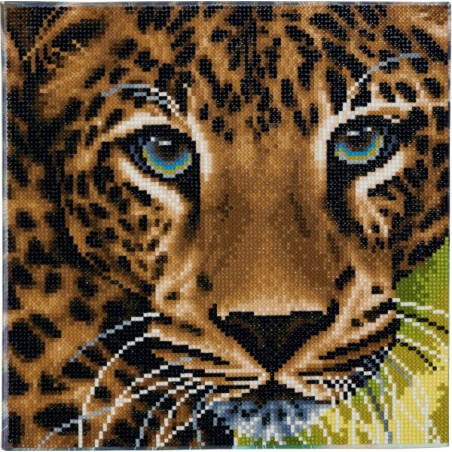 Crystal Art Leinwand Leopard 30x30 cm