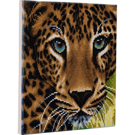 Crystal Art Leinwand Leopard 30x30 cm