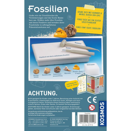 Fossilien