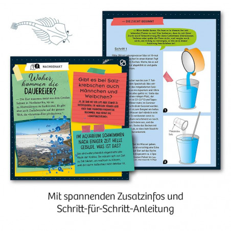 Kosmos Urzeit-Krebse Kosmos Urzeit-Krebse