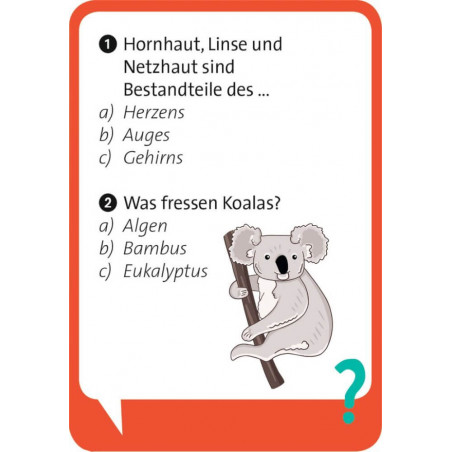 Pocket Quiz junior Schlaumeier
