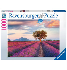 Ravensburger 16724 Puzzle Lavendelfeld in der goldenen Stunde 1000 Teile