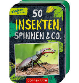 50 Insekten, Spinnen und Co. (Nature Zoom)