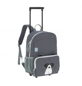 Trolley/Backpack About Friends Racoon