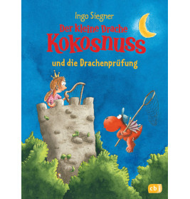 Der kleine Drache Kokosnuss 29, Drachenprüfung