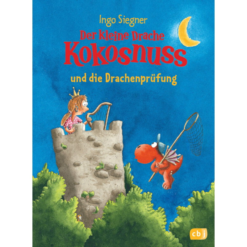 Der kleine Drache Kokosnuss 29, Drachenprüfung