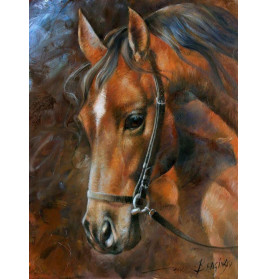 Diamond Painting Pferd 40x30 cm