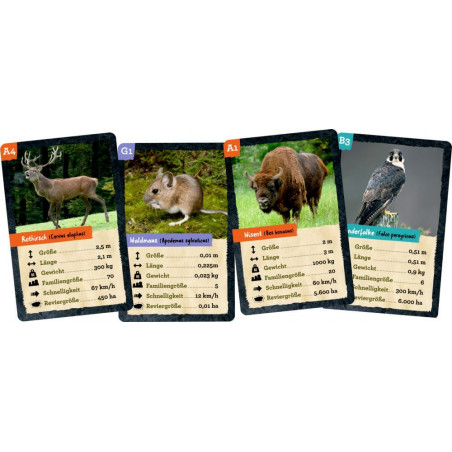 Quartett (Heimische Tiere) Nature Zoom