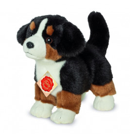 Teddy Hermann Berner Sennenhund Welpe stehend, 23 cm