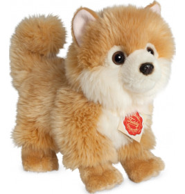 Teddy Hermann Zwergspitz, 22 cm