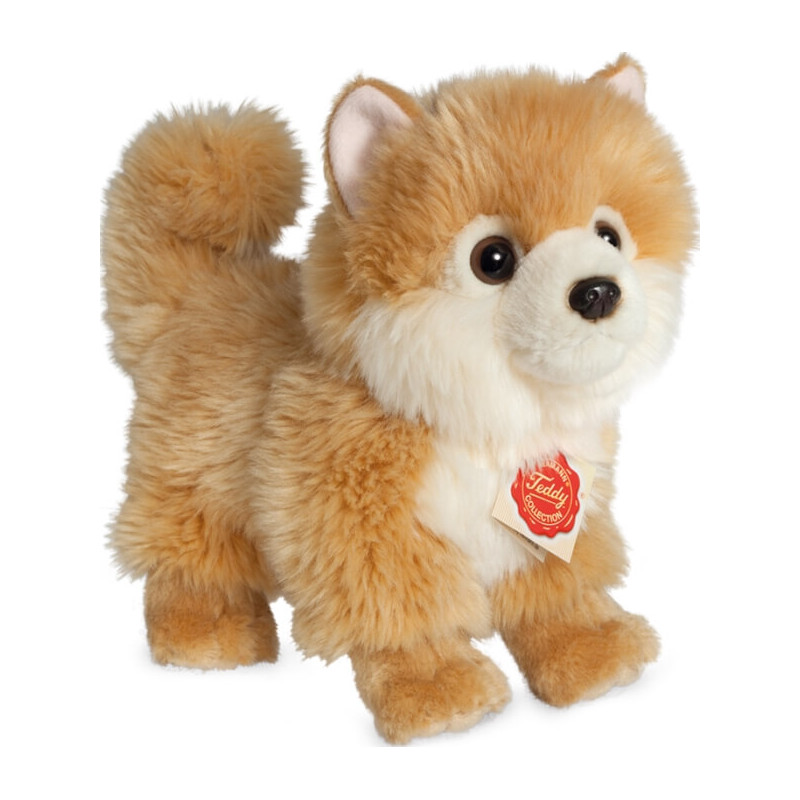 Teddy Hermann Zwergspitz, 22 cm Teddy Hermann Zwergspitz, 22 cm