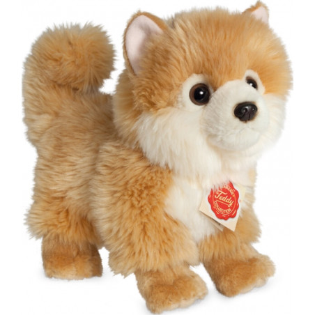 Teddy Hermann Zwergspitz, 22 cm Teddy Hermann Zwergspitz, 22 cm