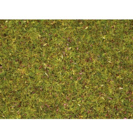 Nahaufnahme von grünem Gras mit verstreuten braunen Blättern auf dem Boden.