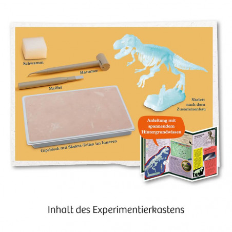 Kosmos Nachtleuchtender T-REX