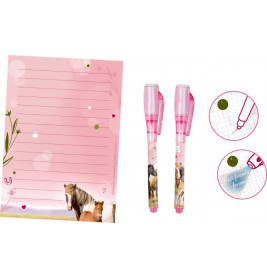 Geheimbotschaften für beste Freundinnen - Pferdefreunde