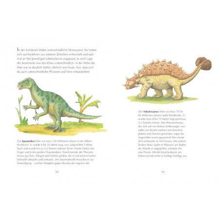 Der kleine Drache Kokosnuss – Abenteuer & Wissen - Dinosaurier