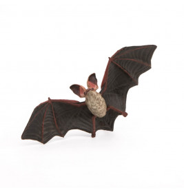 Fledermaus