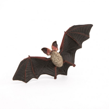 Fledermaus