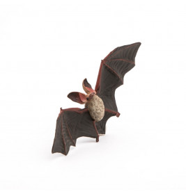Fledermaus