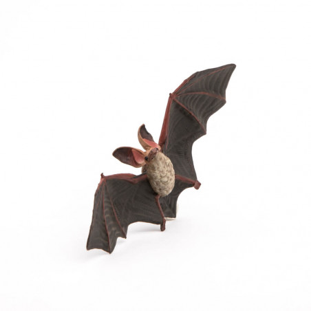 Fledermaus