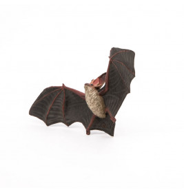 Fledermaus