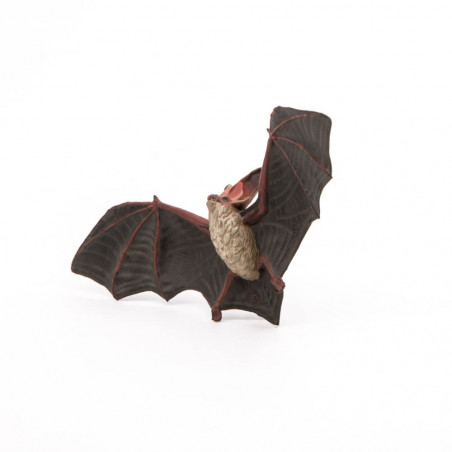 Fledermaus