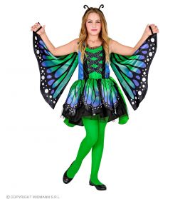 Schmetterling (/Kleid mit Tutu, Flügel, Antenne) 140 cm