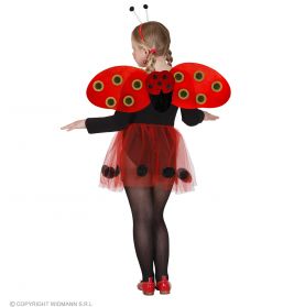 Marienkäfer Dress-up Set (Tutu, Flügel, Antenne)