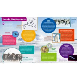 WIW Polarstern. Forschen im Eis