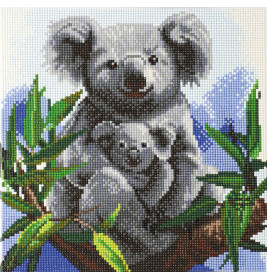 Crystal Art Leinwandbild Koalas 30x30 cm
