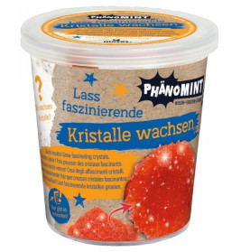 PhänoMINT Kristalle züchten