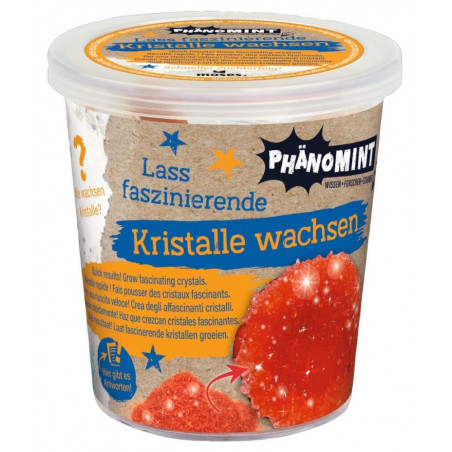 PhänoMINT Kristalle züchten