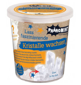 PhänoMINT Kristalle züchten