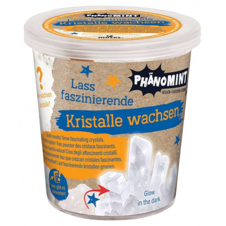 PhänoMINT Kristalle züchten