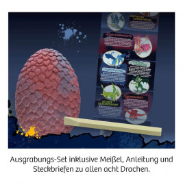 Drachen-Ausgrabung (24-er Display)