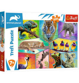Puzzle 200 - Exotische Tiere