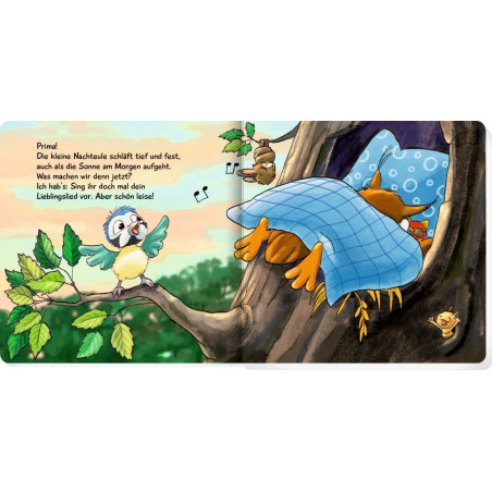 Was machst du, kleine Nachteule? Was machst du, kleine Nachteule?