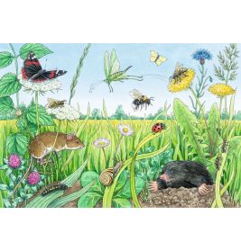 Kinderpuzzle - 05673 Tiere im Wald und auf der Wiese - 2x12 Teile + Wissensposter, Wies