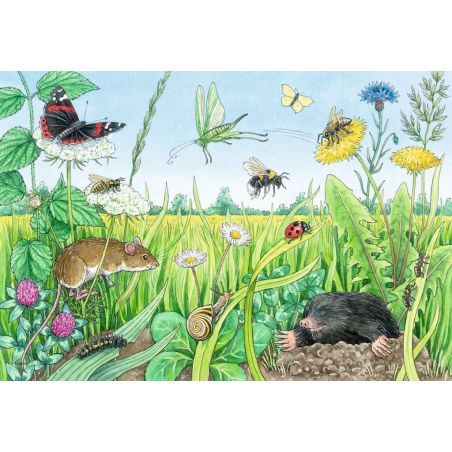 Kinderpuzzle - 05673 Tiere im Wald und auf der Wiese - 2x12 Teile + Wissensposter, Wies