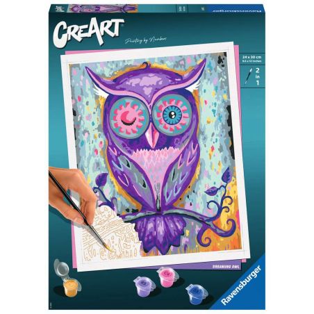 Malen nach Zahlen Dreaming Owl
