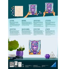 Malen nach Zahlen Dreaming Owl