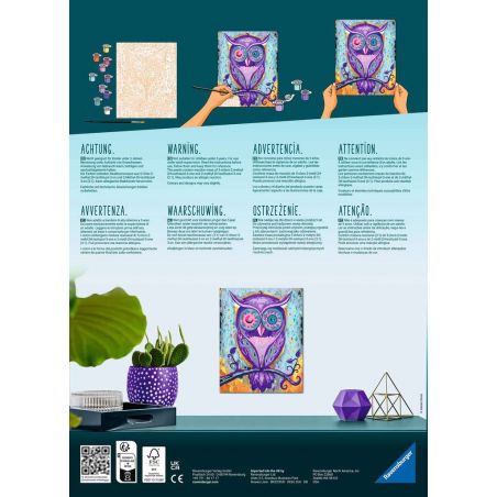 Malen nach Zahlen Dreaming Owl