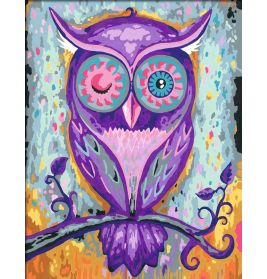 Malen nach Zahlen Dreaming Owl