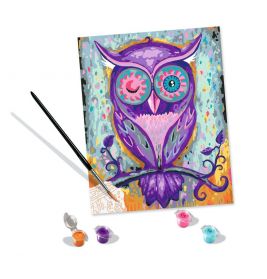 Malen nach Zahlen Dreaming Owl
