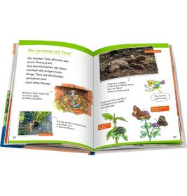 Wieso? Weshalb? Warum? Erstleser, Band 10: In der Natur